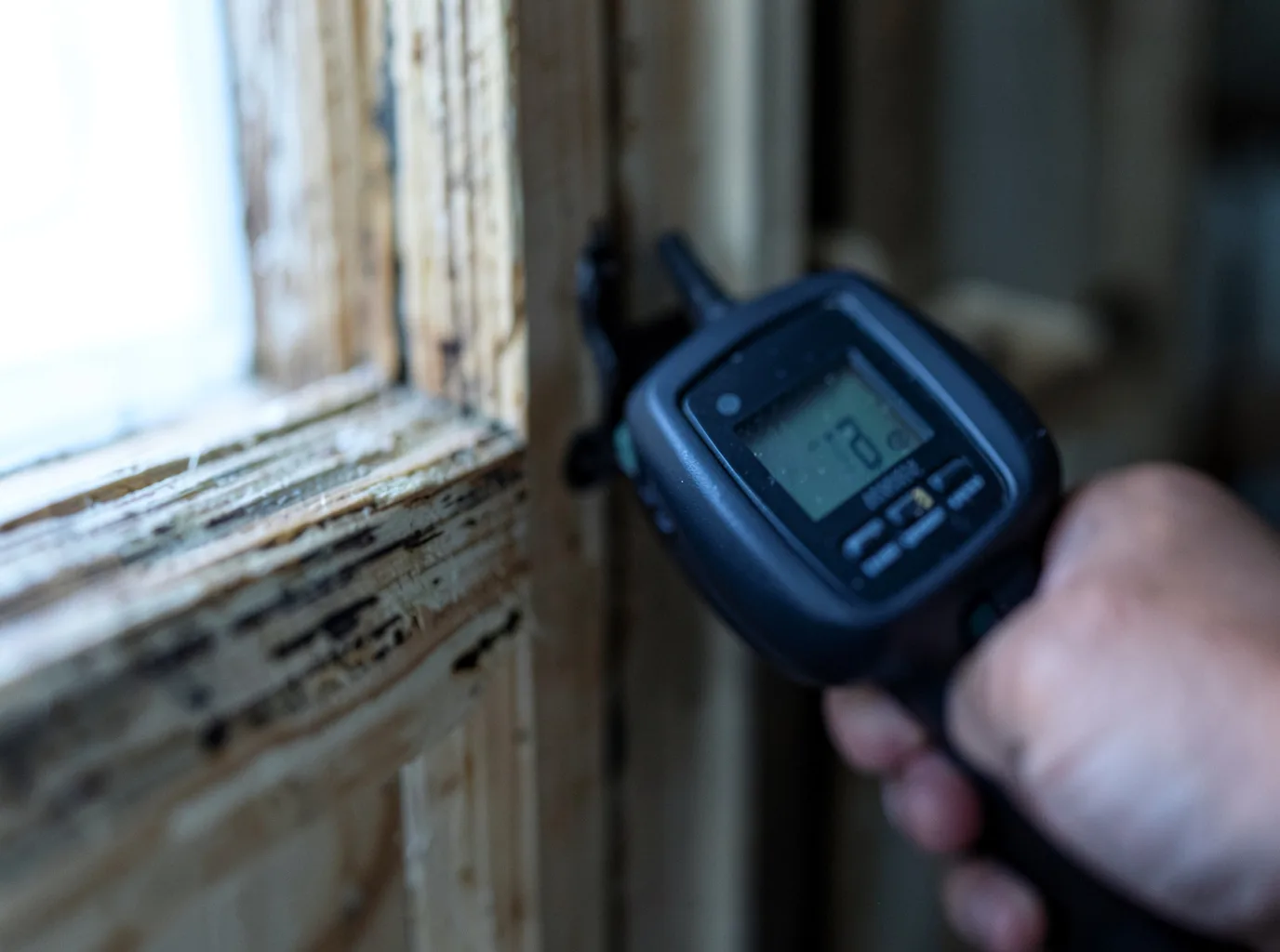 Moisture Inspection And Documentation in Port Leyden, NY